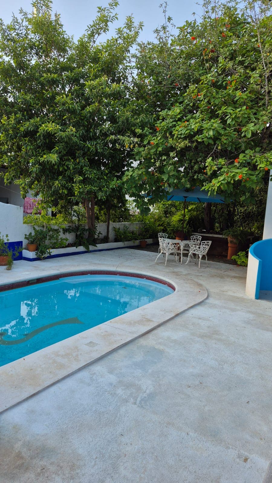 Hotel Mision Y Spa Acapulco imagen 17