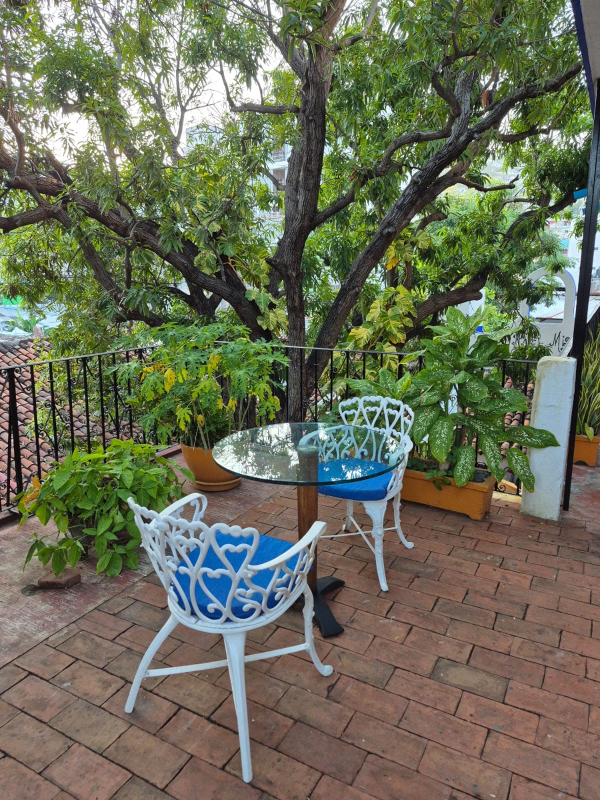 Hotel Mision Y Spa Acapulco imagen 14